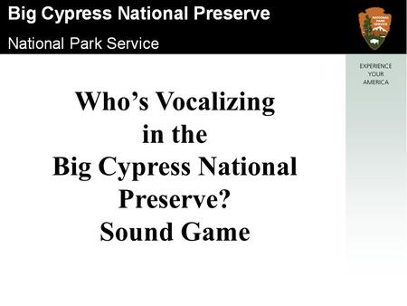 Who’s Vocalizing in the Big Cypress National Preserve? Sound Game.