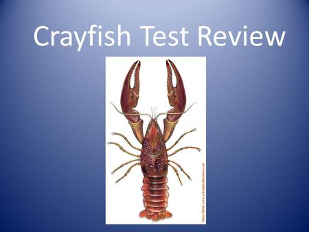 Crayfish Test Review.