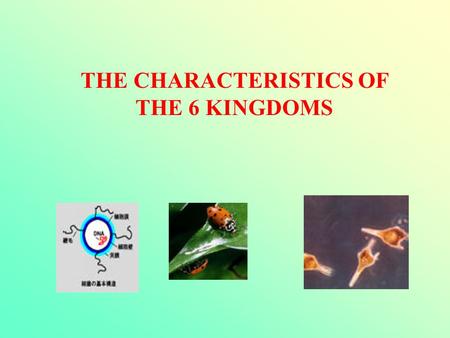 THE CHARACTERISTICS OF THE 6 KINGDOMS