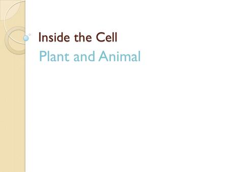 Inside the Cell Plant and Animal.