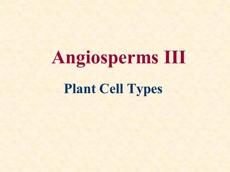 Angiosperms III Plant Cell Types.