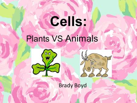 Cells: Plants VS Animals Brady Boyd.