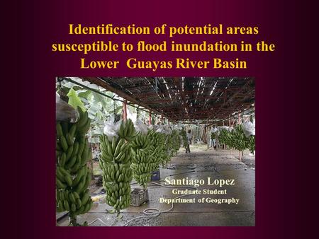 Identification of potential areas susceptible to flood inundation in the Lower Guayas River Basin Santiago Lopez Graduate Student Department of Geography.