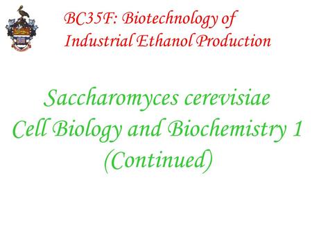 BC35F: Biotechnology of Industrial Ethanol Production Saccharomyces cerevisiae Cell Biology and Biochemistry 1 (Continued)