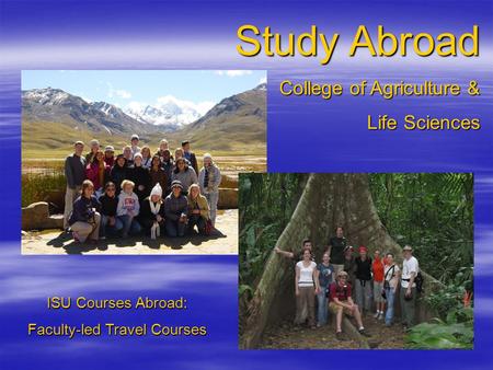 Study Abroad College of Agriculture & Life Sciences ISU Courses Abroad: Faculty-led Travel Courses.
