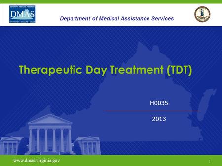 Therapeutic Day Treatment (TDT)