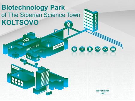 Biotechnology Park of The Siberian Science Town KOLTSOVO Novosibirsk 2013.