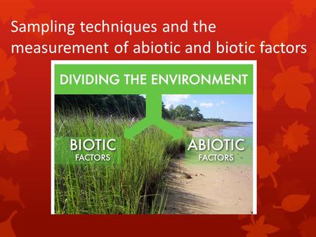 Sampling techniques and the measurement of abiotic and biotic factors