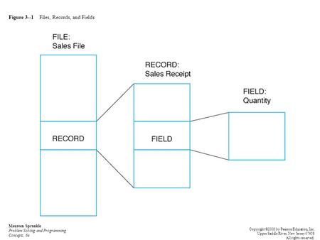 Figure 3--1 Files, Records, and Fields