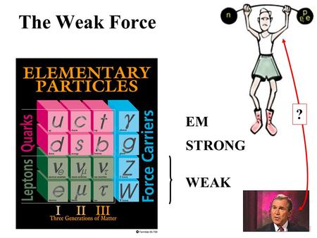 The Weak Force EM STRONG WEAK ?. The Force Carriers  Like the Electromagnetic & Strong forces, the Weak force is also mediated by “force carriers”. 
