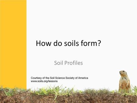 How do soils form? Soil Profiles