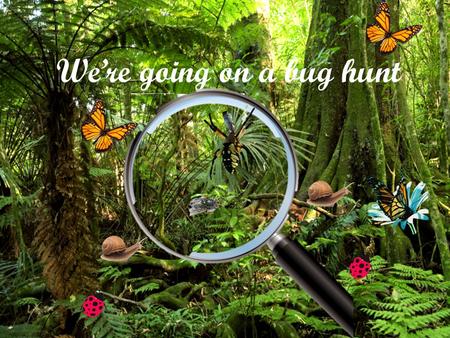 We’re going on a bug hunt. We’re going on a bug hunt! We’re going to catch some big ones. What a sunny day! Are you ready? OK!