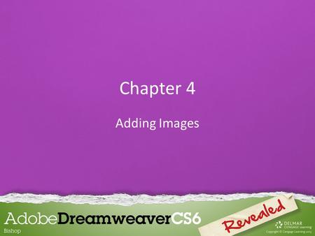 Chapter 4 Adding Images. Inserting and Aligning Images Graphics refer to the appearance of most non- text items on a web page, such as: – Photographs.