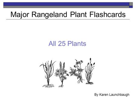 All 25 Plants Major Rangeland Plant Flashcards By Karen Launchbaugh.