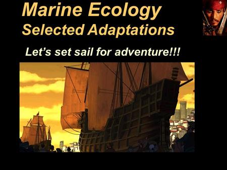 Marine Ecology Selected Adaptations Let’s set sail for adventure!!!