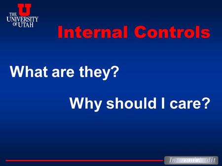 Internal Controls What are they? Why should I care?