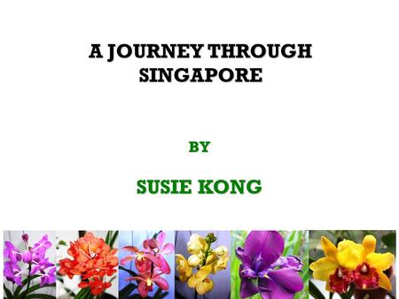 BY SUSIE KONG A JOURNEY THROUGH SINGAPORE. A PROPHET IS NEVER RECOGNISED IN HIS OWN COUNTRY.