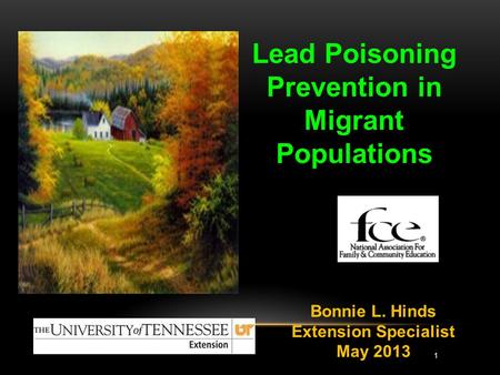 Lead Poisoning Prevention in Migrant Populations Bonnie L. Hinds Extension Specialist May 2013 1.
