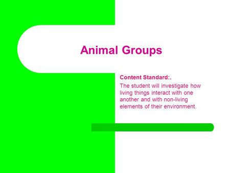 Animal Groups Content Standard:. The student will investigate how living things interact with one another and with non-living elements of their environment.