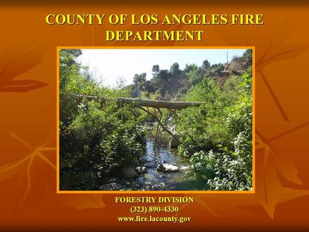 COUNTY OF LOS ANGELES FIRE DEPARTMENT FORESTRY DIVISION (323) 890-4330 www.fire.lacounty.gov.