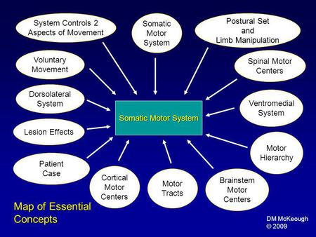 Map of Essential Concepts System Controls 2 Postural Set Somatic and