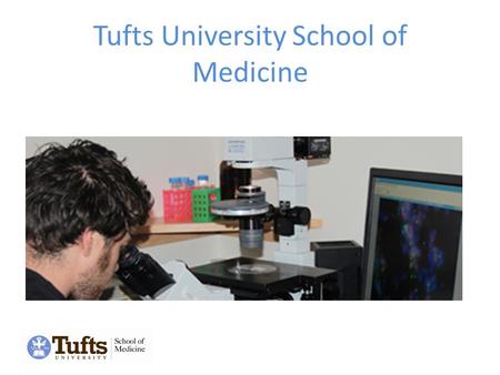 Tufts University School of Medicine. Clinical Departments Anatomic & Clinical PathologyOphthalmology AnesthesiologyOrthopedic Surgery Public Health.
