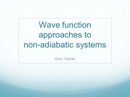 Wave function approaches to non-adiabatic systems