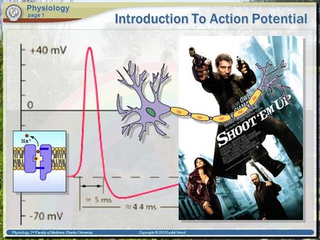 Introduction To Action Potential