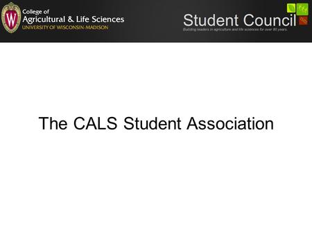The CALS Student Association. Executive Council 12 officers, 8 are elected Reasonable officer criteria for each position are defined Officer duties are.