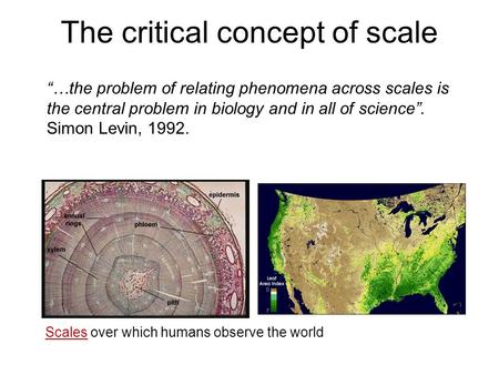 The critical concept of scale