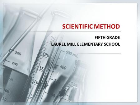 Fifth Grade Laurel Mill Elementary School