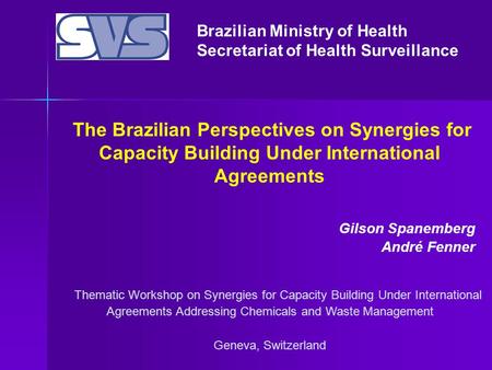 Brazilian Ministry of Health Secretariat of Health Surveillance Thematic Workshop on Synergies for Capacity Building Under International Agreements Addressing.