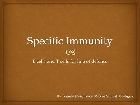 B cells and T cells for line of defence