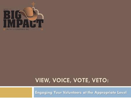 VIEW, VOICE, VOTE, VETO: Engaging Your Volunteers at the Appropriate Level.