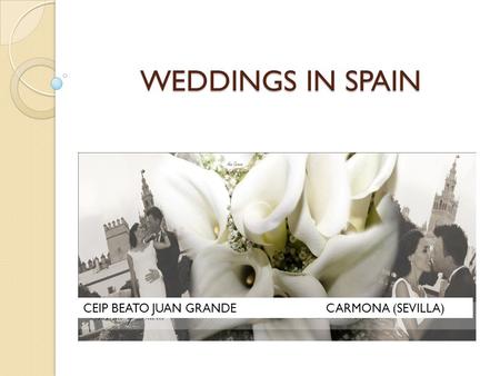 WEDDINGS IN SPAIN CEIP BEATO JUAN GRANDE CARMONA (SEVILLA)