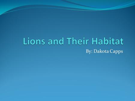 By: Dakota Capps Animal The animal I chose is the Lion. The Lion fall into the Mammal classification.
