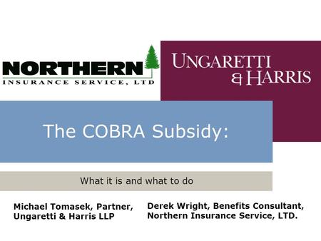 The COBRA Subsidy: What it is and what to do Michael Tomasek, Partner, Ungaretti & Harris LLP Derek Wright, Benefits Consultant, Northern Insurance Service,