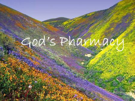 God’s Pharmacy It's been said that God first separated the salt water from the fresh, made dry land, planted a garden, made animals and fish... All before.