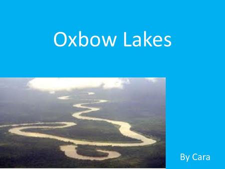 Oxbow Lakes By Cara.