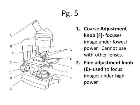 Pg. 5 1.Coarse Adjustment knob (F)- focuses image under lowest power. Cannot use with other lenses. 2.Fine adjustment knob (E)- used to focus images under.