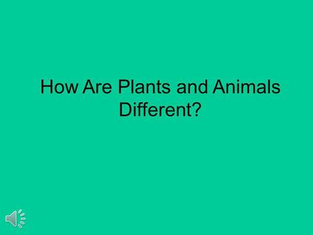 How Are Plants and Animals Different? Animals cannot make their own food. Plants can make their own food.