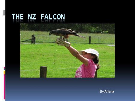 By Ariana. Fact file for the NZ Falcon  Scientific name: Kerearea  classification:  Size:45cm, female larger.  Colour: black, white and brown  Lives:
