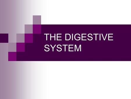 THE DIGESTIVE SYSTEM. Q #1 Digestion begins in the oral cavity. Process called digestion occurs as food is broken down both chemically and mechanically.