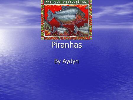 Piranhas By Aydyn. Home Many piranhas live in South America. Many piranhas live in South America.
