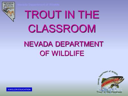TROUT IN THE CLASSROOM NEVADA DEPARTMENT OF WILDLIFE Nevada Department of Wildlife ANGLER EDUCATION.