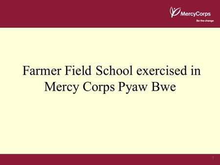 1 Farmer Field School exercised in Mercy Corps Pyaw Bwe.