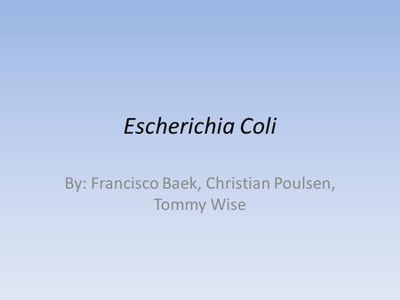 Escherichia Coli By: Francisco Baek, Christian Poulsen, Tommy Wise.