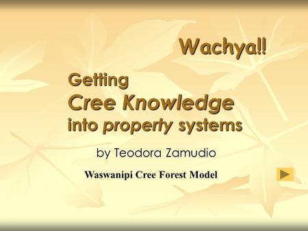 By Teodora Zamudio Wachya!! Getting Cree Knowledge into property systems Waswanipi Cree Forest Model.