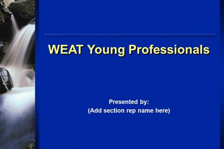 WEAT Young Professionals Presented by: (Add section rep name here)