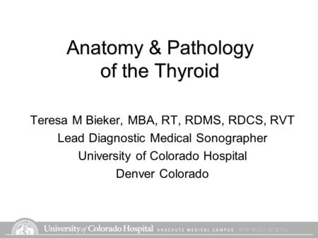 Anatomy & Pathology of the Thyroid